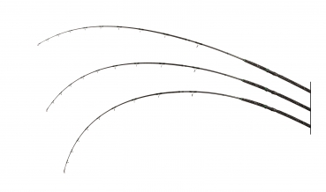 Zeck Fishing Pro-Cat short and soft 2,80 m