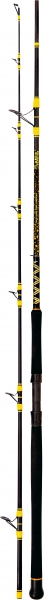 Black Cat 2,70 m Passion Pro DX Spin 200g