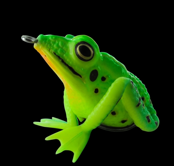 JENZI "The Prinz" Realistic Frog