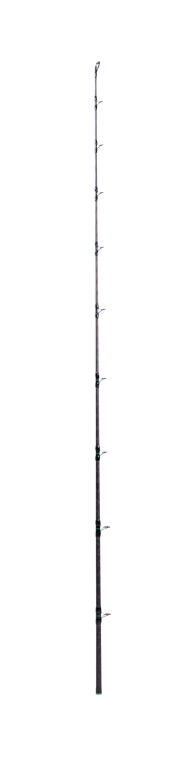 Zeck Fishing Pro Cat sensi long
